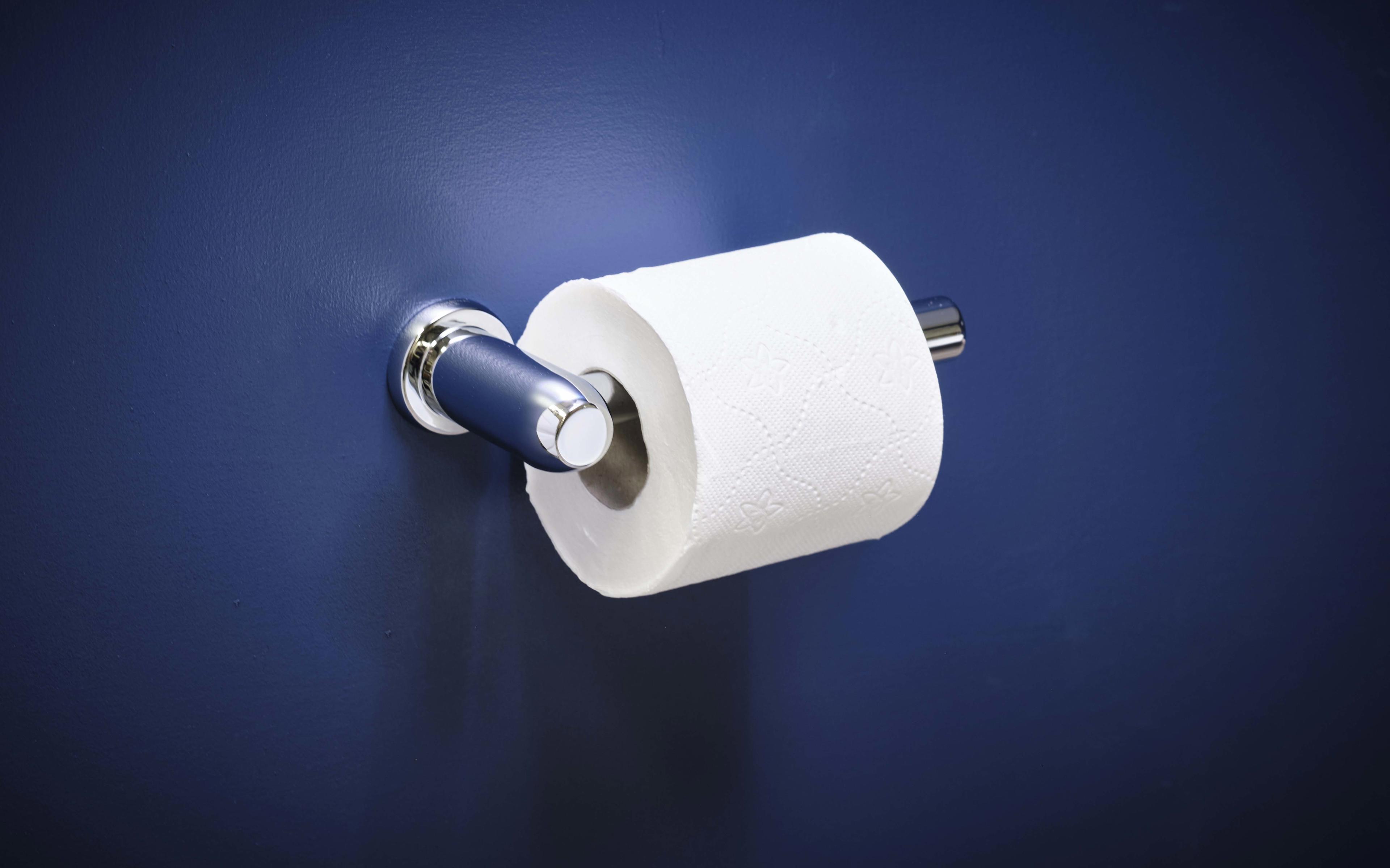 Langbourn Toilet Roll Holder - Chrome